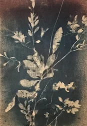 Vintageblå botaniska motiv