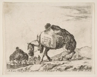 Frontispice för olika djur: Packhäst, ca. 1641.