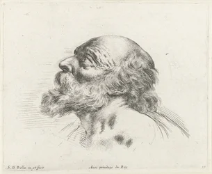 Huvudet på en skallig gubbe med skägg, i profil till vänster (möjligen St. Peter) Grunderna i ritning (serietitel) I principii del disegno (serietitel)