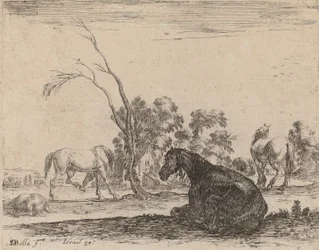 Hästar i en betesmark, 1642.