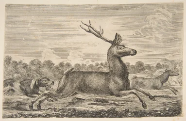 Hundar som jagar en hjort och en då, ca. 1654.