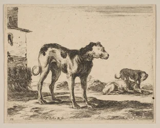 Tallrik 11: hundar, från Diverse djur Diversi animali, ca. 1641.