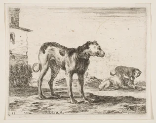 Tallrik 11: hundar, från Diverse djur Diversi animali, ca. 1641.