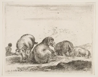 Plåt 12: får och bagge i en hage, från Diverse djur Diversi animali, ca. 1641.