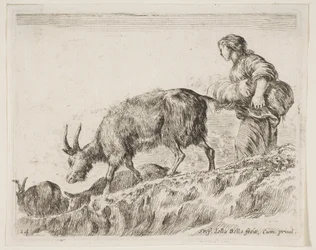 Tavla 14: herdinna som vallar getter, från Diverse djur Diversi animali, ca. 1641.