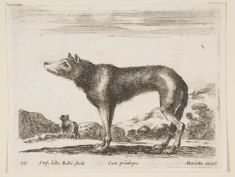 Tallrik 20: varg, från Diverse djur Diversi animali, ca. 1641.
