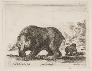 Plåt 4: björn, från 