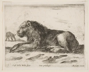 Plåt 5: liggande lejon, från Various animals Diversi animali, 1641.