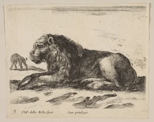 Tavla 5: liggande lejon, från Diverse djur Diversi animali, ca. 1641.