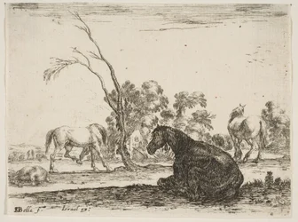 Plåt 8: en sittande häst till höger, sedd bakifrån och vänd åt vänster, tre andra hor..., 1642.
