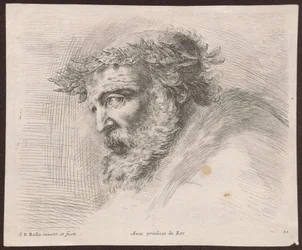 Studie av huvudet på en skäggig gammal man med lagerkrans, i profil, vänd åt vänster, ur serien Principii del disegno