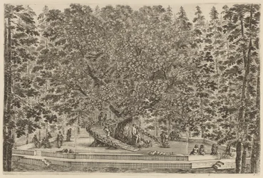 Det bebodda trädet, troligen 1653.