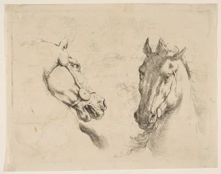Två hästhuvuden, ca. 1649.