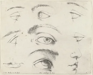 Sju ögon, två munnar och en näsa The Principles of Drawing (serietitel) I principii del disegno (serietitel)