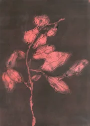 Foliage I, 2015 (monoprint på papper)