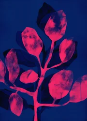 Summer Garden III rosa, 2018 (digital)