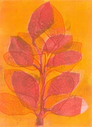 Summer Garden II, 2015 (monoprint på papper)
