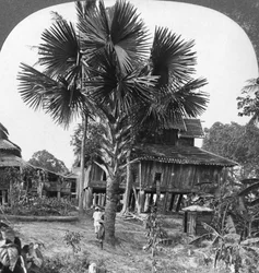 Inhemskt hus byggt på pålar, Bhamo, Burma, 1908