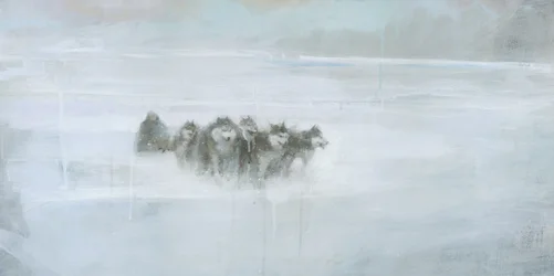 Arktisk vargflock