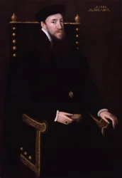 Henry Fitzalan, 12:e earl av Arundel