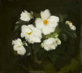 Vita rosor (olja på duk)