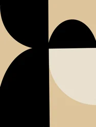 Abstrakta geometriska kurvor