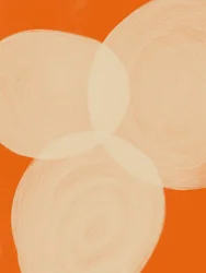 Lugna orange former