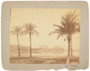Byn Memphis, Egypten, ca 1898-1920 (svartvitt foto)