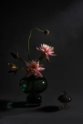 Eleganta rosa liljor