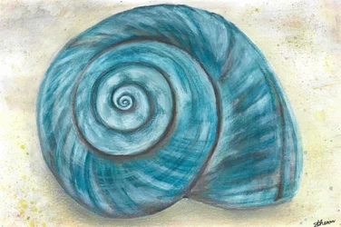 Blå spiralsnäcka