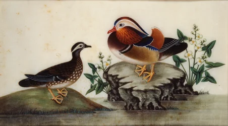 Målning - Två ankor och blommande vattenväxter vid en damm, sent c19:e