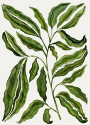Ekologiska gröna blad