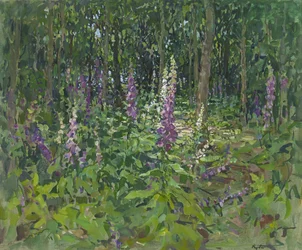 Foxgloves