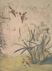 Fåglar och Narcissus.