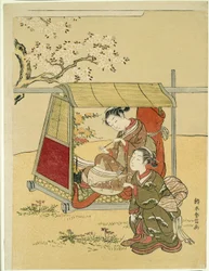 Vilar i en Palanquin under körsbärsblommor
