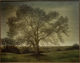 Landskap 1901