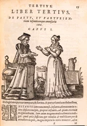 Sjuksköterska tar hand om en patient med en skadad hand, från De Concepta et Generatione Hominis av Jakob Ruf, 1587 (tryck & träsnitt på papper)