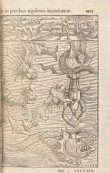 Sida 1005 från Cosmographiae Universalis av Sebastian Muenster, Basel, 1572