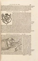Sida 983 från Cosmographiae Universalis av Sebastian Muenster, Basel, 1572