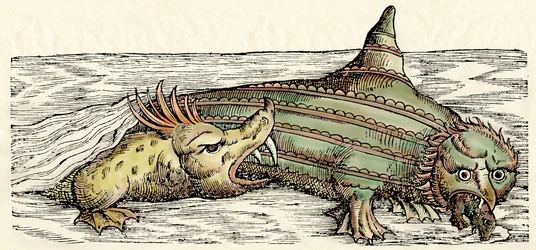 Havsdjur, illustration från "Historiae Animalium" av Conrad Gesner