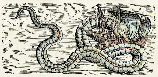 Sjöodjur, illustration från "Historiae Animalium" av Conrad Gesner