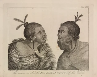 L.R.294.c.7, skylt XVII Nya Zeelands krigare