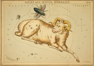 Väduren och Musca Borealis, Illustration från "Uranias spegel"