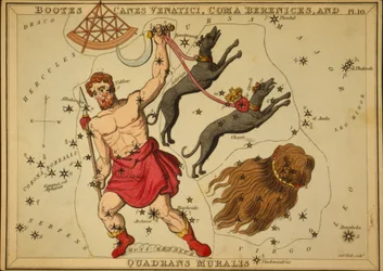 Bootes Canes Venatici, Coma Berenices och Quadrans Muralis, Illustration från "Uranias spegel"