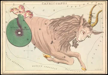 Capricornus, ca 1825 (kort, papper, vävnad )