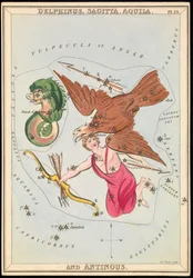 Delphinus, Sagitta, Aquila och Antinous, ca 1825 (kort, papper, vävnad)