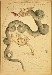 Draco och Ursa Minor, Illustration från 