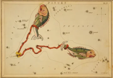 Fiskarna, illustration från 