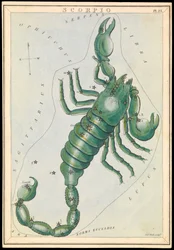 Scorpio, ca 1825 (kort, papper, vävnad )
