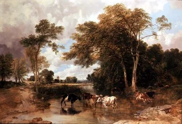 Skogbevuxen flodlandskap